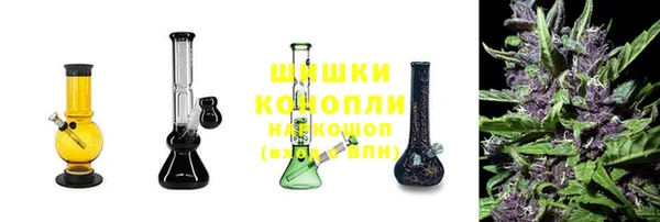 спиды Белокуриха