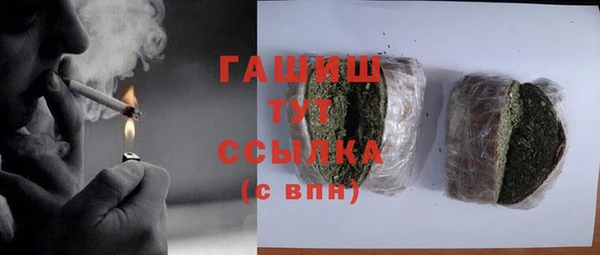 индика Апатиты