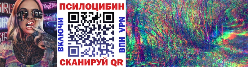 Галлюциногенные грибы Psilocybe  blacksprut сайт  Верхотурье 